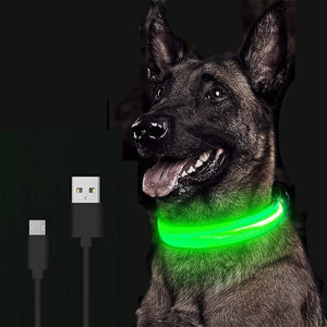 Jolie collier USB lumineux LED pour chien et chat .