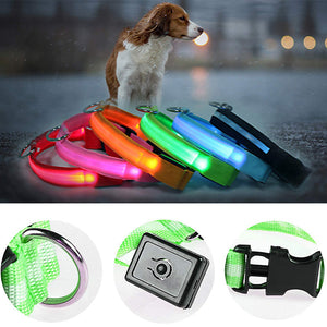 Jolie collier USB lumineux LED pour chien et chat .